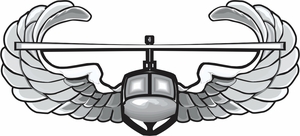 army-air-assault-wings-vinyl-transfer-decal-153-1
