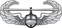 army-air-assault-wings-vinyl-transfer-decal-153.jpg
